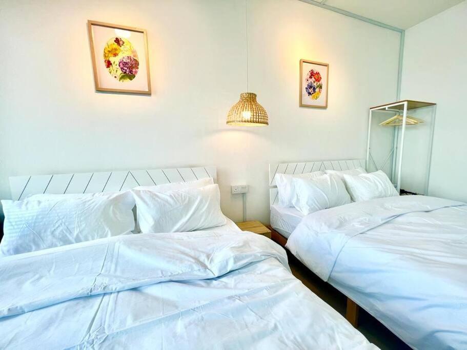 B Setia Alam 1-5 Pax Cozy Home Wifi&Tv Studio 3 Beds Trefoil 莎阿南 外观 照片